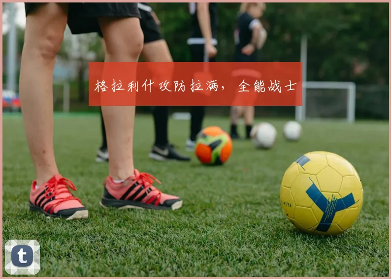 格拉利什攻防拉满，全能战士