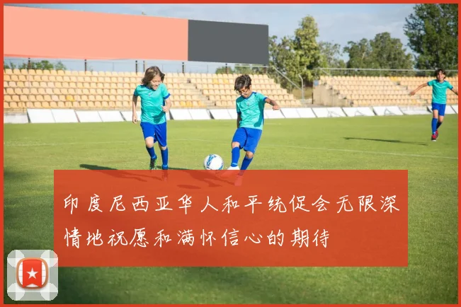 印度尼西亚华人和平统促会无限深情地祝愿和满怀信心的期待
