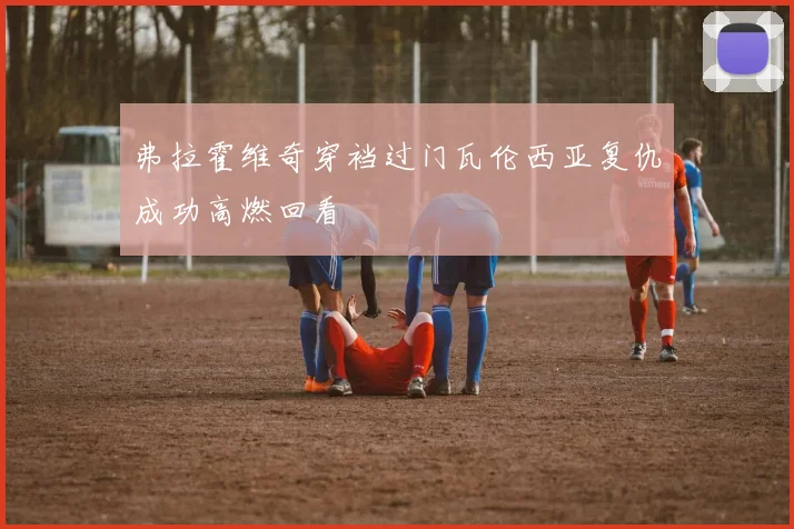 弗拉霍维奇穿裆过门瓦伦西亚复仇成功高燃回看