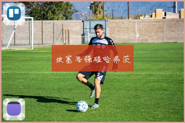 坎塞洛强碰哈弗茨
