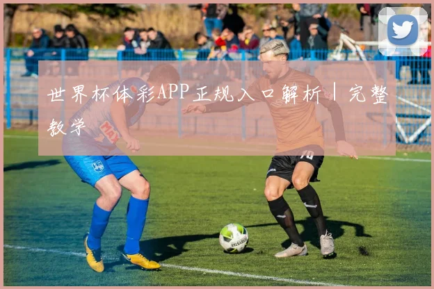 世界杯体彩APP正规入口解析|完整教学