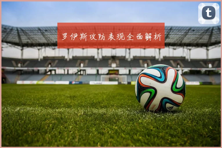 罗伊斯攻防表现全面解析
