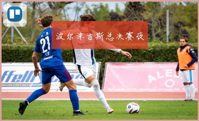 波尔津吉斯总决赛夜