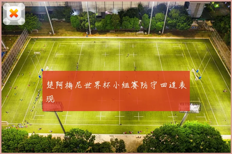 楚阿梅尼世界杯小组赛防守回追表现