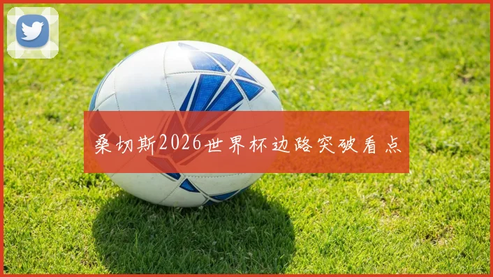桑切斯2026世界杯边路突破看点