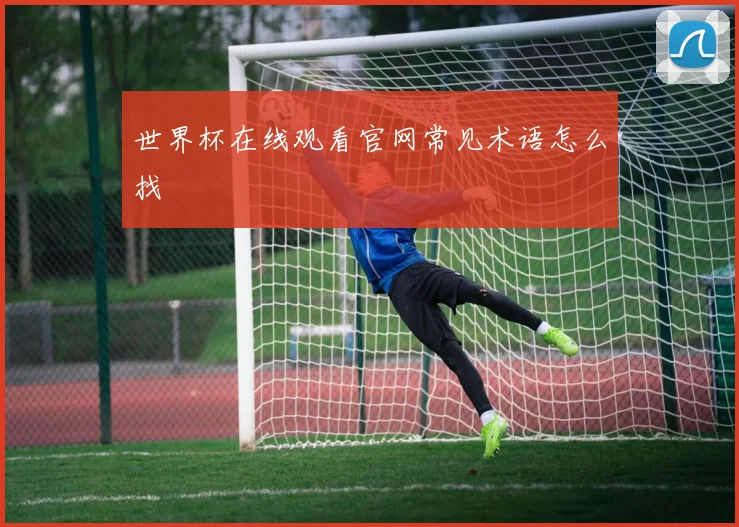 世界杯在线观看官网常见术语怎么找