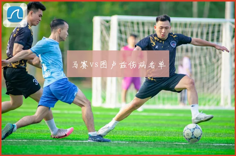 马赛vs图卢兹伤病名单