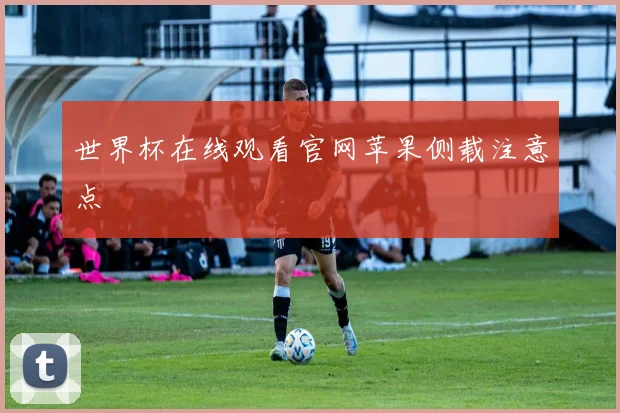 世界杯在线观看官网苹果侧载注意点