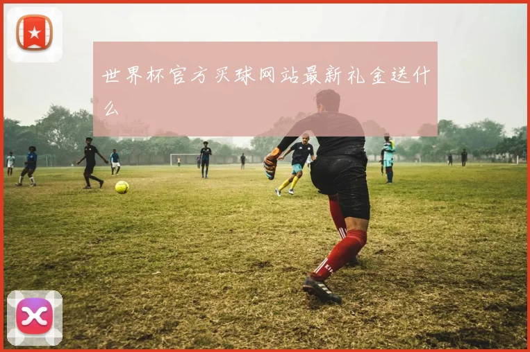 世界杯官方买球网站最新礼金送什么