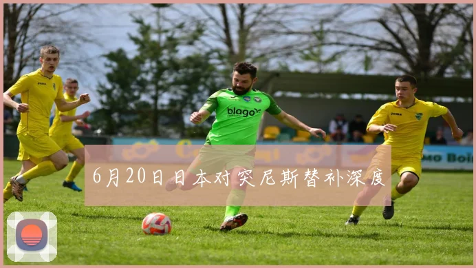 6月20日日本对突尼斯替补深度