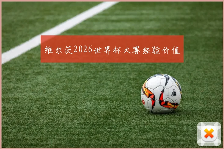 维尔茨2026世界杯大赛经验价值