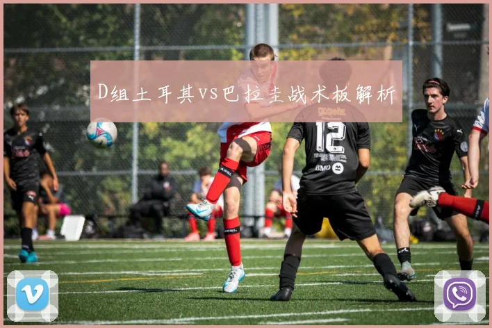 D组土耳其vs巴拉圭战术板解析