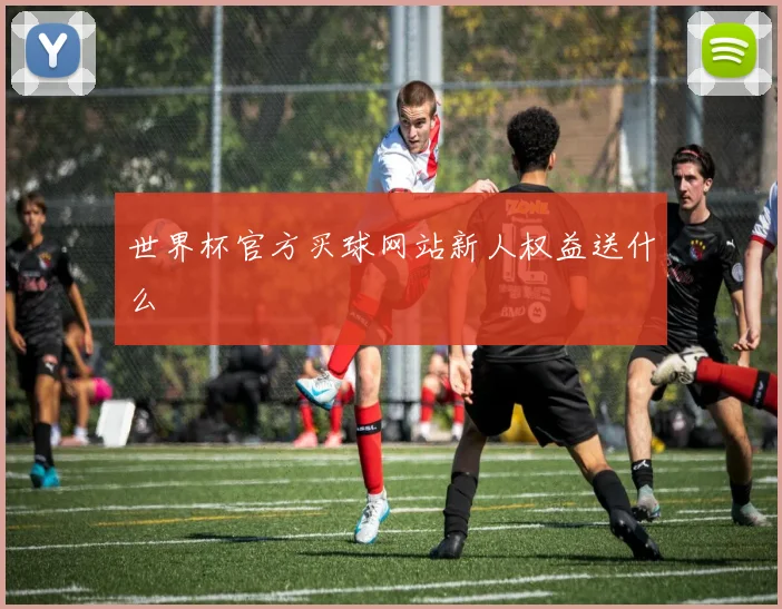 世界杯官方买球网站新人权益送什么