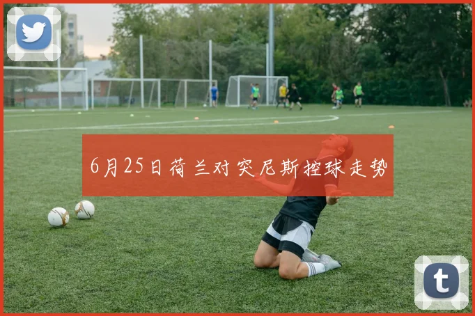 6月25日荷兰对突尼斯控球走势